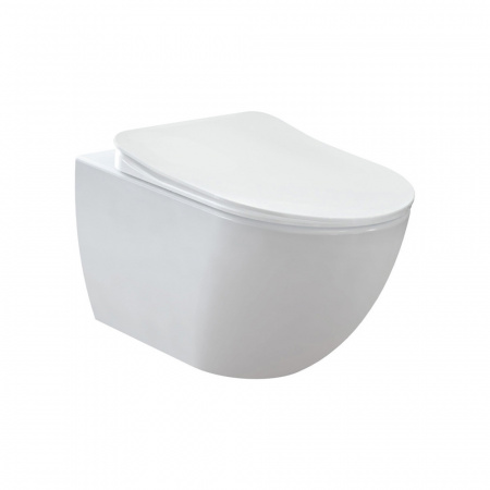 Creavit  CREAVIT FREE Унитаз подвесной безободковый FE322.00100  FE322-11CB00E-0000