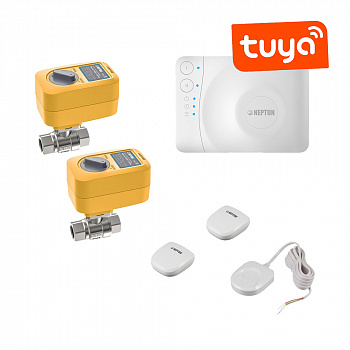 Нептун  Комплект Neptun Smart+ Special Edition 3/4 | Profi-868-Tuya 3/4"  2264868-SE