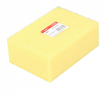 Губка гидра, CORTE