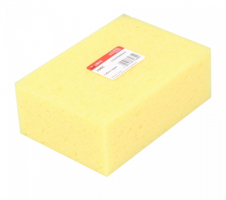 Губка гидра, CORTE