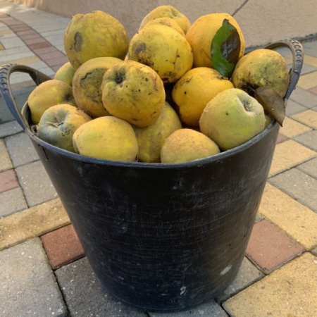 Набор вёдер КАПАС «?Матрешка»?