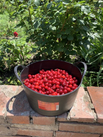 Набор вёдер КАПАС «?Матрешка»?