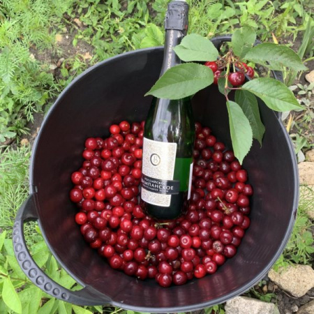 Набор вёдер КАПАС «?Матрешка»?