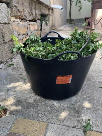 Набор вёдер КАПАС «?Матрешка»?